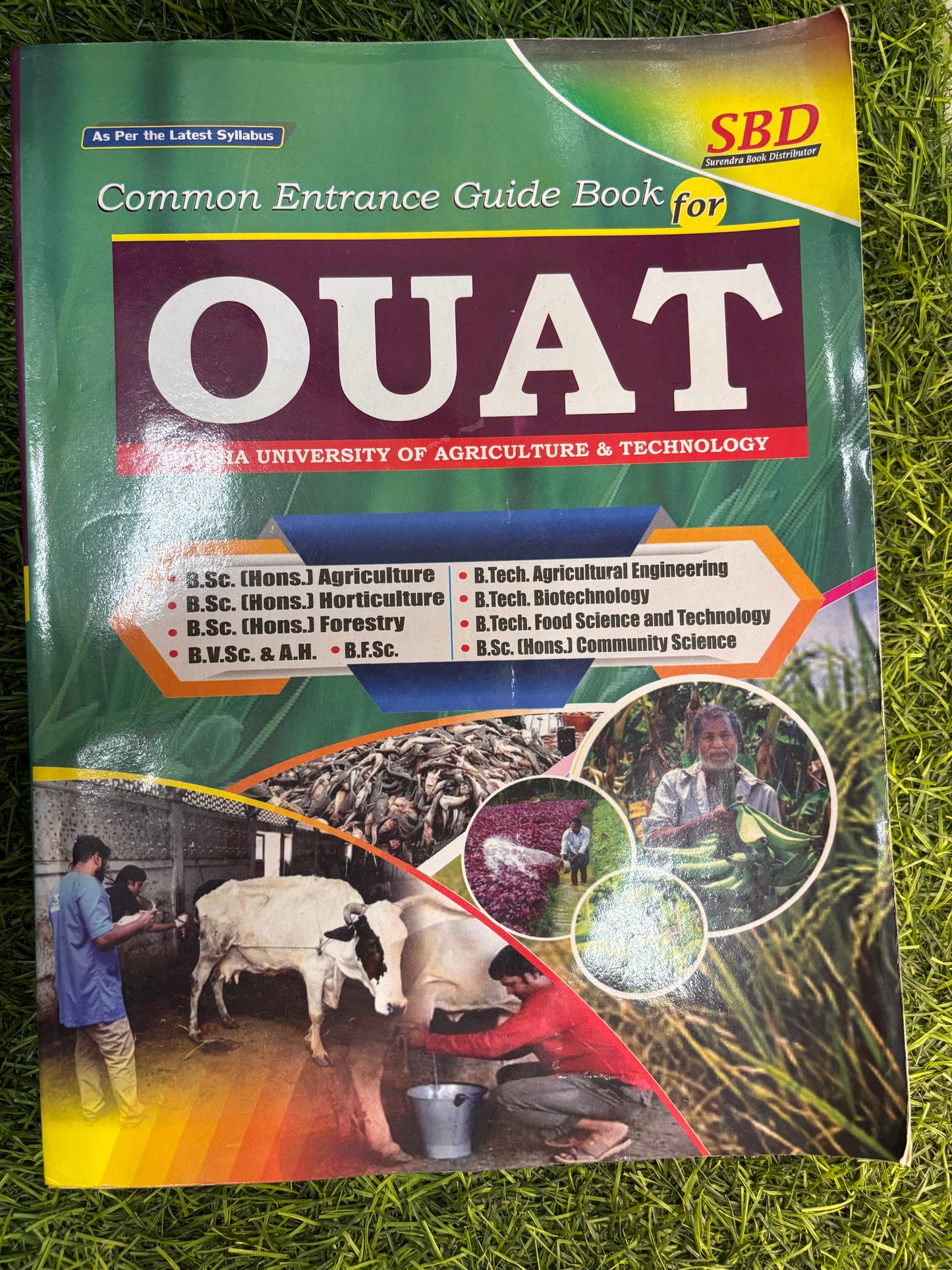 OUAT Entrance Guide