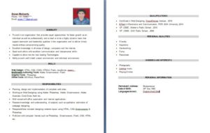 Read more about the article How to write a professional resume for fresher and experienced ?